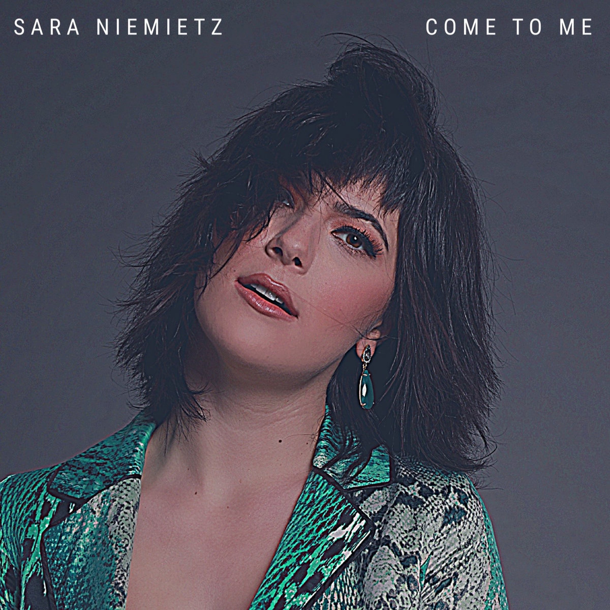 Come to Me, single by Sara Niemietz